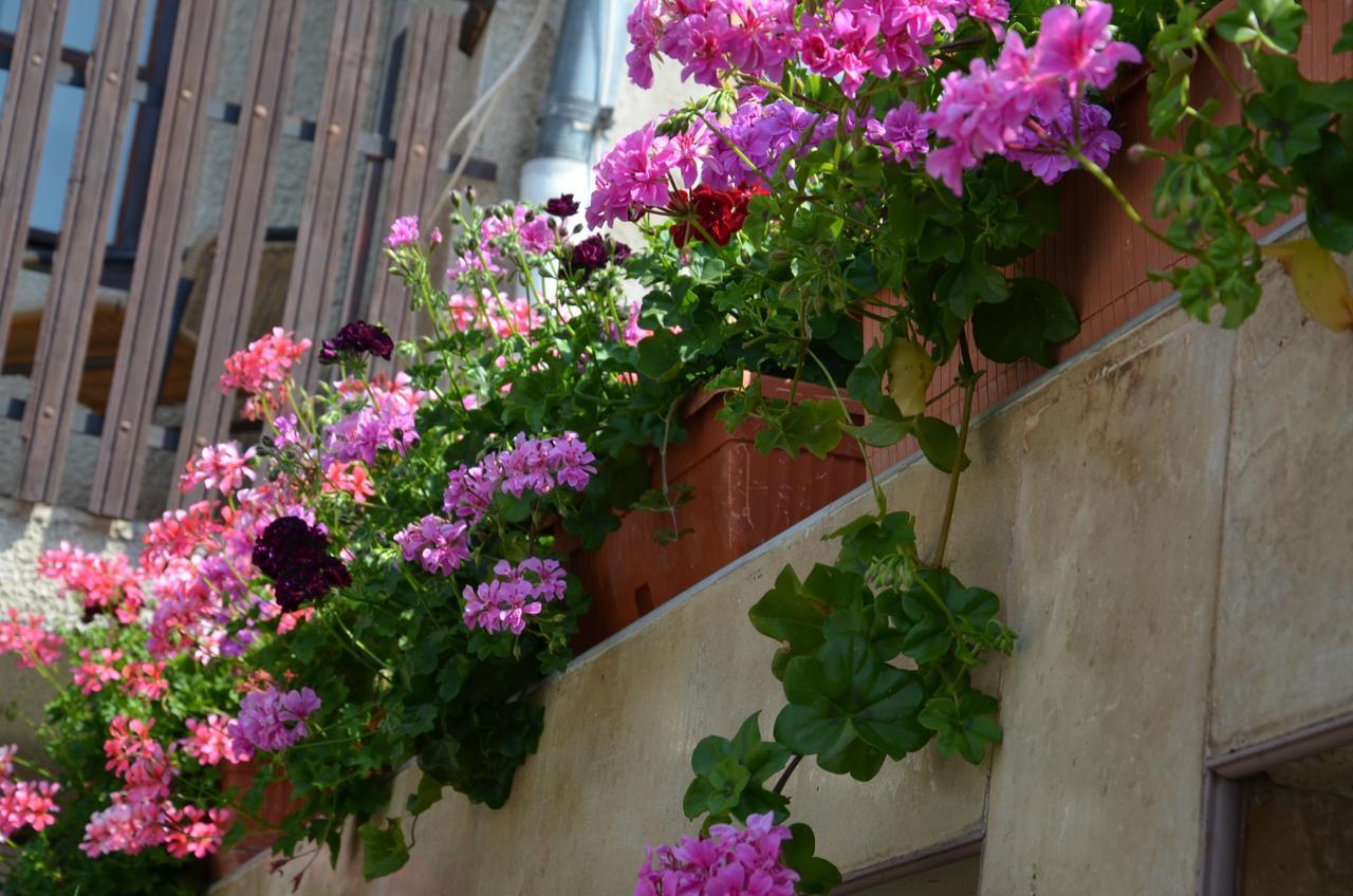 Villa Rosi Sozopol Ngoại thất bức ảnh